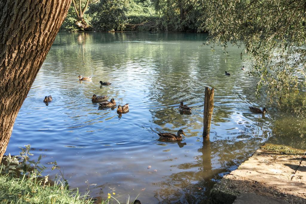 דירות טרוויסו La Casa Rossa מראה חיצוני תמונה